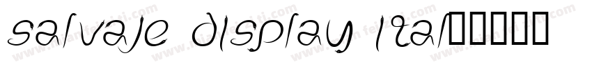 salvaje display ital字体转换
